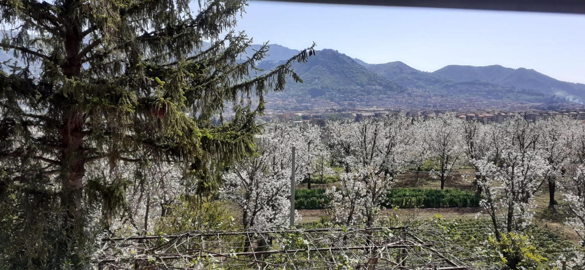 Lanovella Villa Cava deʼ Tirreni Exteriör bild